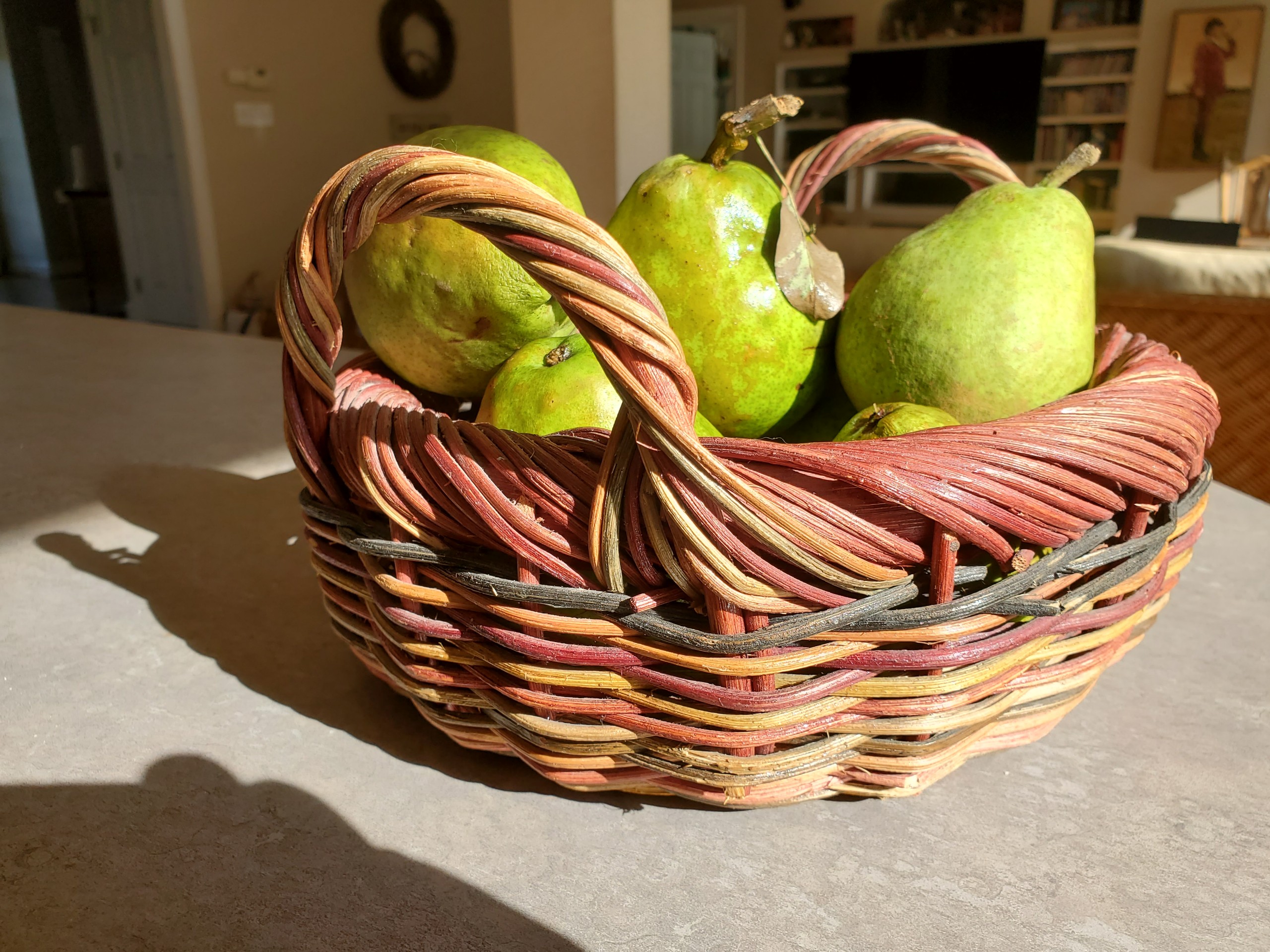 Virginia local fresh picked pears at Old Apple Valley Farms