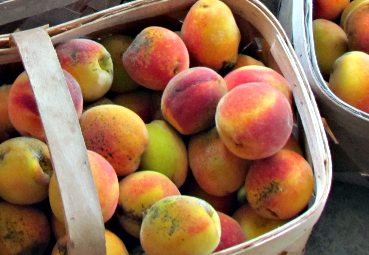 Peaches grown and sold by Apple Valley Farms