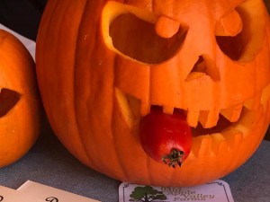 Old Apple Valley Farms on the Loudoun County Farm Tour 2017