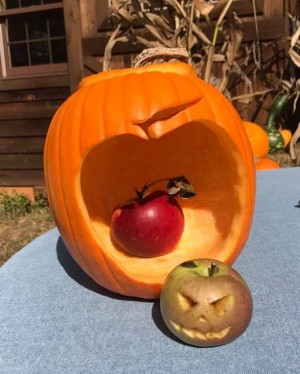 Old Apple Valley Farms on the Loudoun County Farm Tour 2017