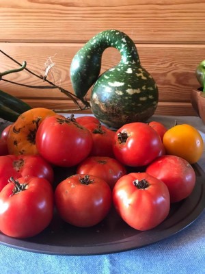 Old Apple Valley Farms on the Loudoun County Farm Tour 2017