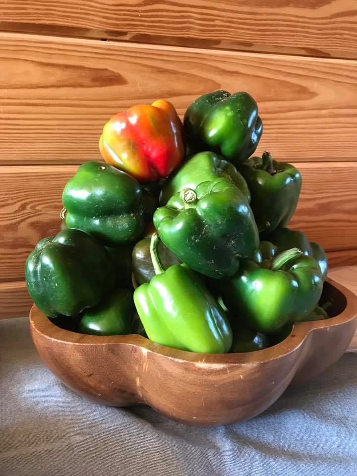 Old Apple Valley Farms Green Peppers