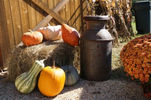 Old Apple Valley Farms on the Loudoun County Farm Tour 2016