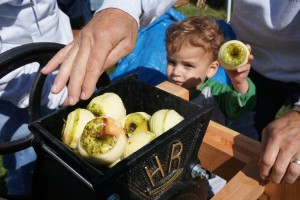 Old Apple Valley Farms on the Loudoun County Farm Tour 2016