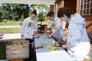 Old Apple Valley Farms on the Loudoun County Farm Tour 2016