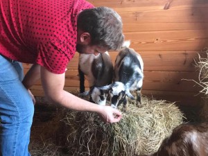 Old Apple Valley Farms on the Loudoun County Farm Tour 2017