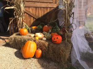 Old Apple Valley Farms on the Loudoun County Farm Tour 2017